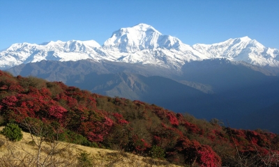 Rajesh Kannan and his Friends' and Family's Muktinath-Pashupatinath Darshan Yatra